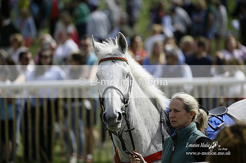 PtP 180422 34 - Old Berkshire PtP Lockinge 18/04/22