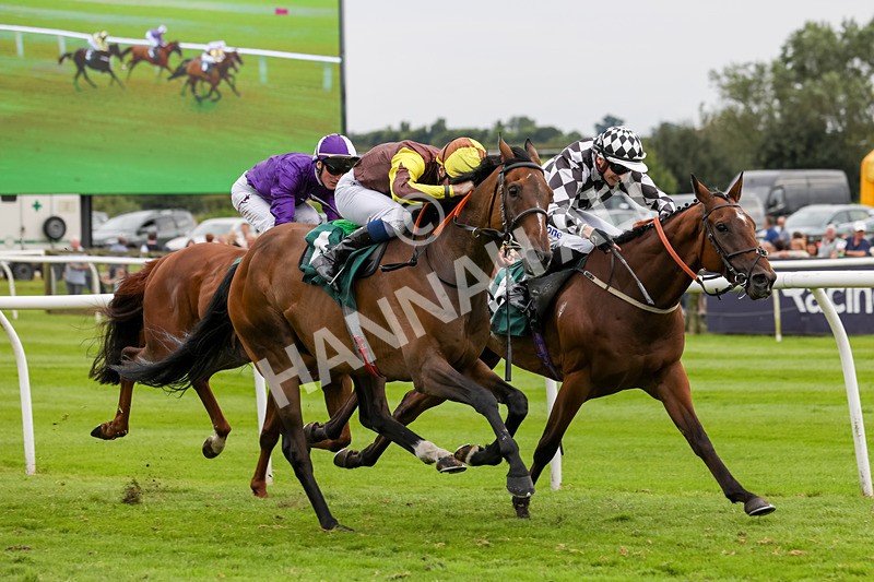 240724-Race 5-Furzig-3614 - Race 5