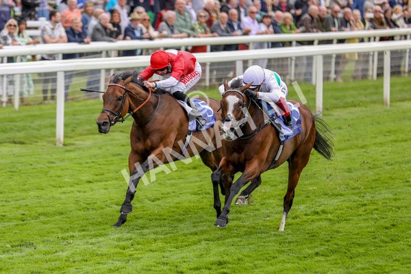 180523-Race 2-Free Wind-7286 - Race 2 2.25pm Al Basti Equiworld Dubai Middleton Fillies' Stakes