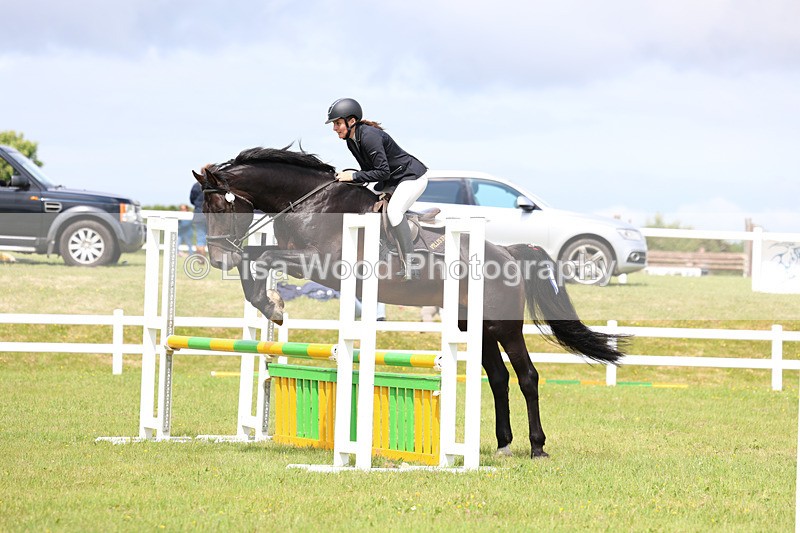 3E7A7472 - Class 13: Senior British Novice/90cm open