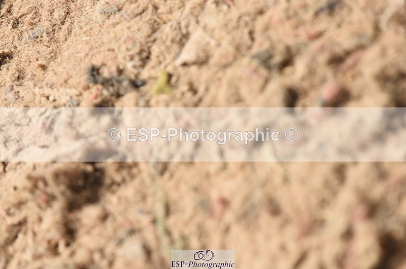 230906A-124342-00301 - Newcomers & 1.10m Open