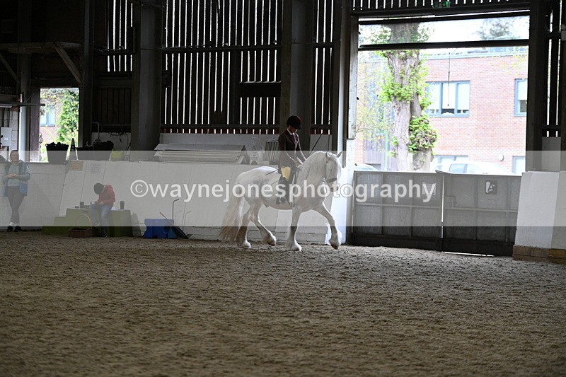 WJ7_3657 - Class 16 Ridden Coloured/ Odd Coloured