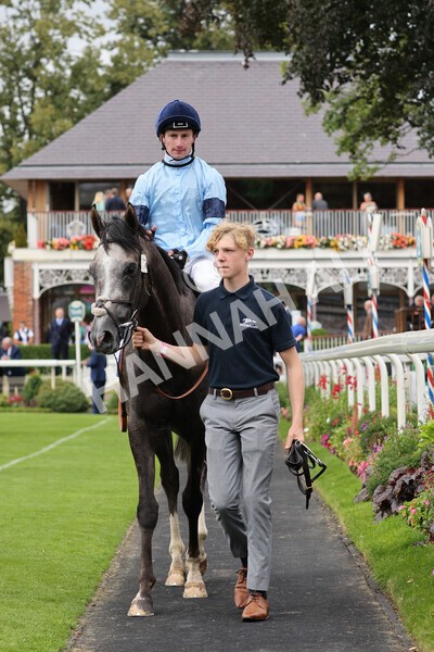 yr19082021r5-38 - Race 5 4.10pm OR8wellness ebfstallions Nursery Handicap