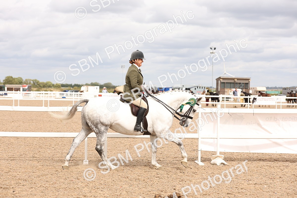 SBM_16539 - Class 212 - Ridden Hunter - Small
