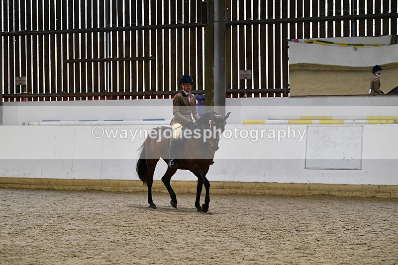 WJ5_8915 - Class 15 Ridden Show Horse