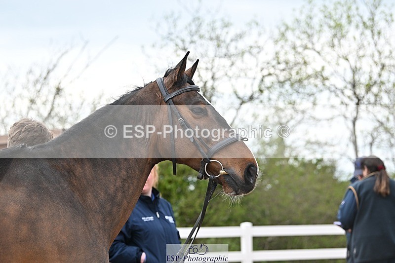 250423-170151-02306 - 4pm to 5pm