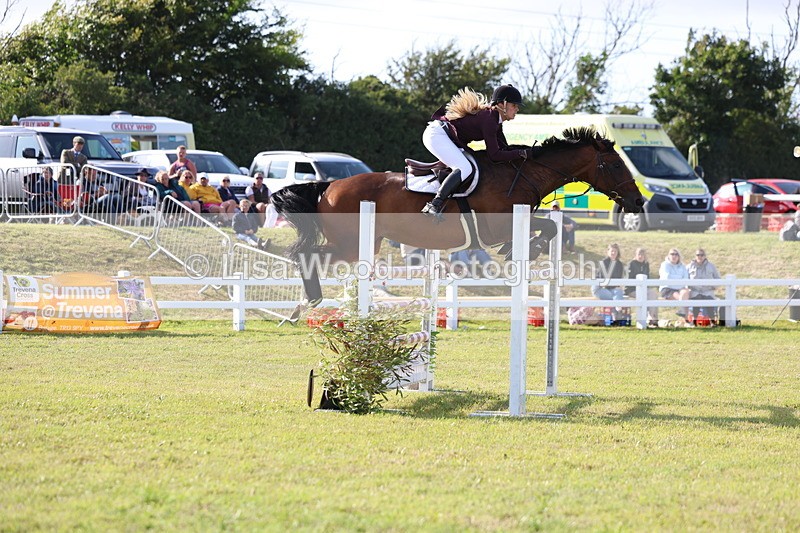 3E7A4457 - Class C: Showjumping Senior Foxhunter