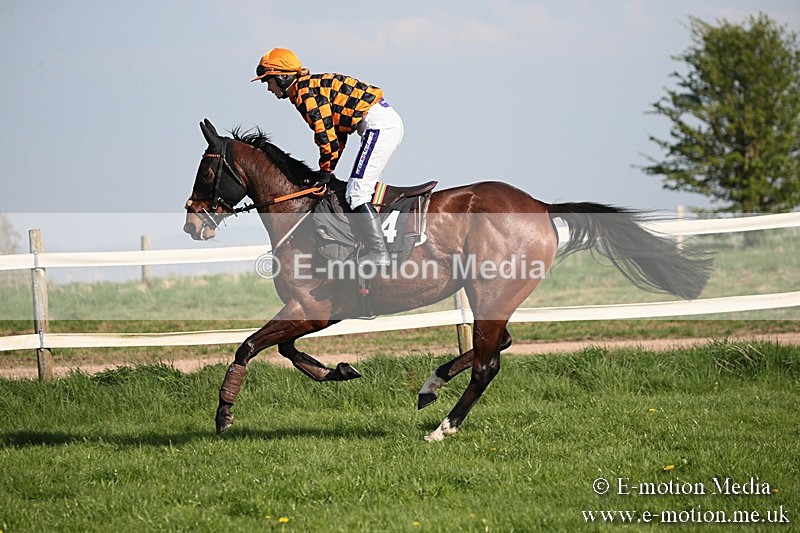 PtP 210418 480 - South & West Wilts Point-to-Point Larkhill 21/04/18