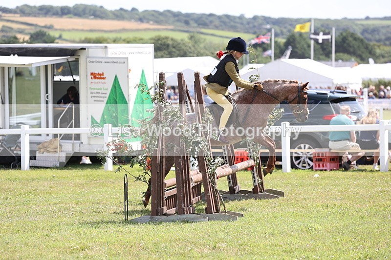 JPP_2143 - Class 19: Working Hunter 60cm