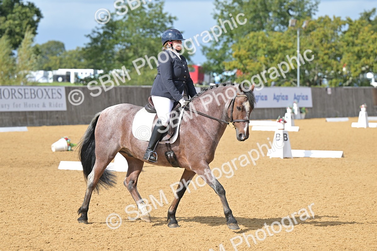 SBM_10908 - D3 - Small Tour Championship Intro 3