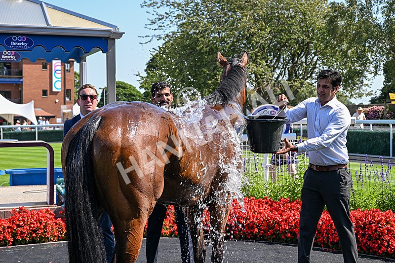 130826-Race 1-Not My Type-7854 - Race 1 14.15pm Racing TV Club Day EBF Fillies' Novice Stakes