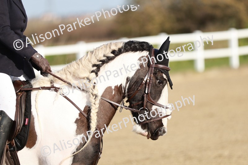 20260314-0052 - CT1 - Intro 1