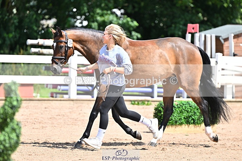 240718A-105244-01094 - Trot Up 12pm to 1pm