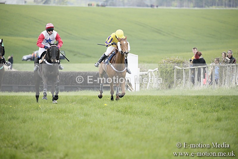 PtP 170417 22 - Old Berks Point-to-Point Lockinge 17/04/17