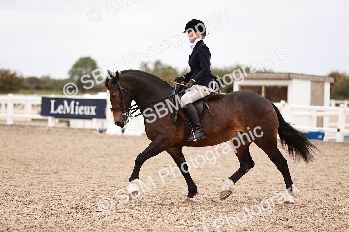 SBM_19033 - Class 422 - Ridden M&M