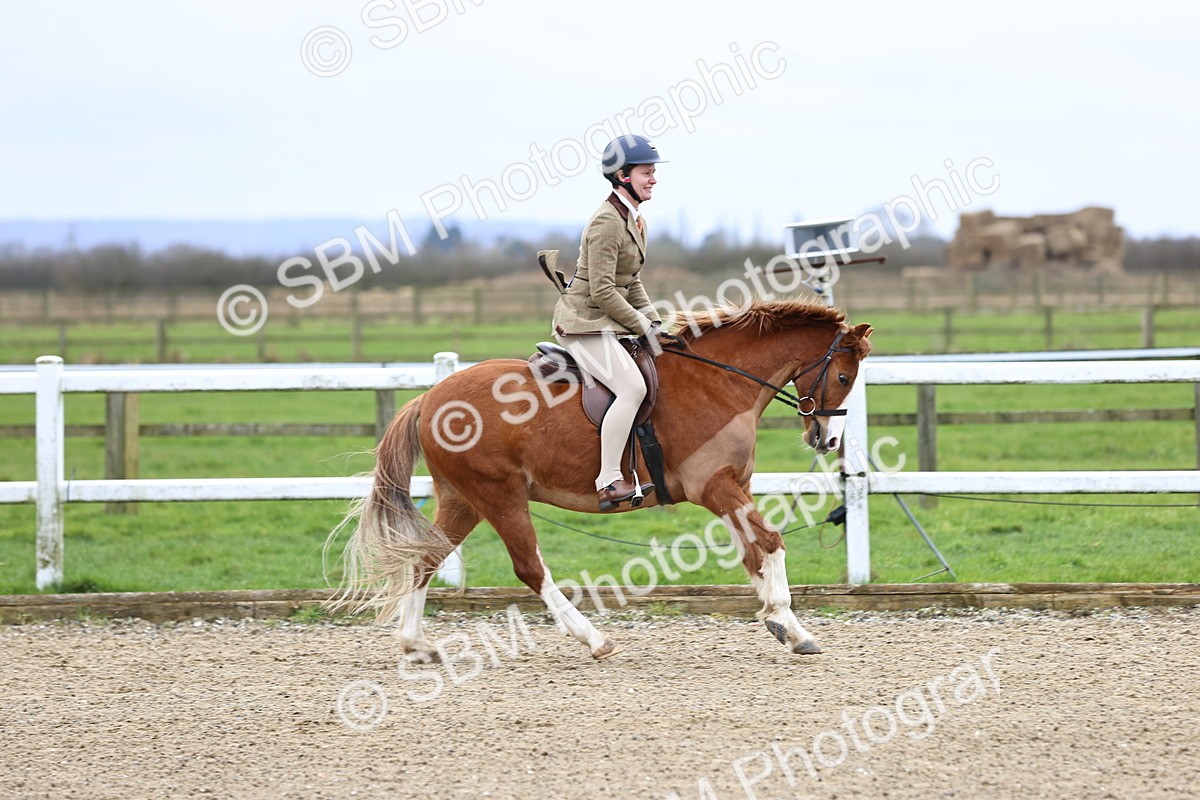 SBM_006752 - Class 29 - 30 - M&M Pure Novice Small-Large Breeds