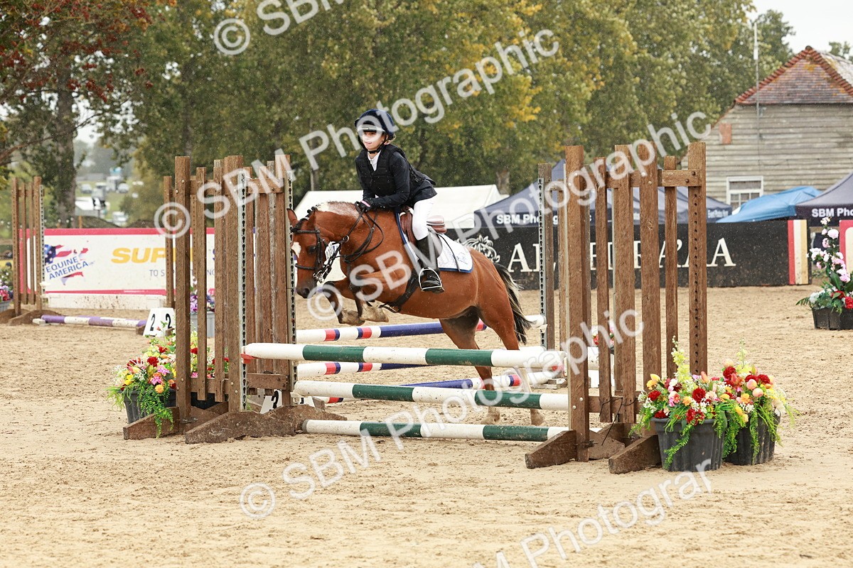 SBM_69208 - J13 - Junior Pony 60cm Championship
