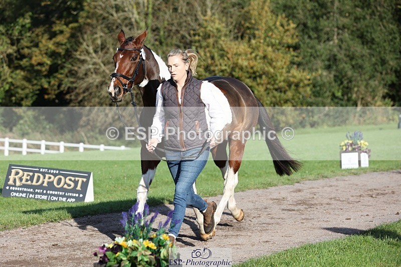 241027-093803-15404 - 404-Tamzin.Ferguson-SANTORINI