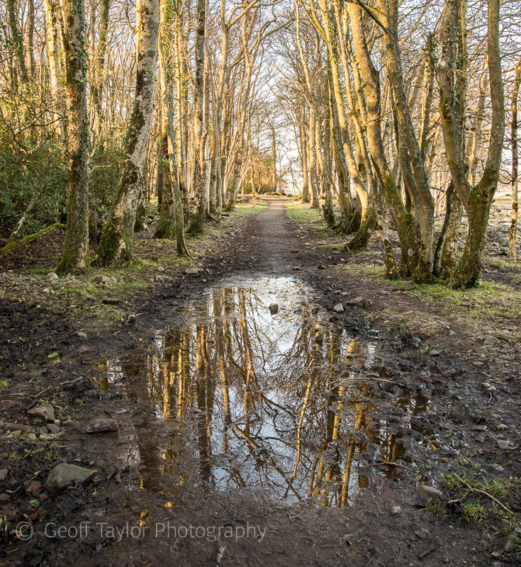 Garlieston - Wigtown Reader's Retreat