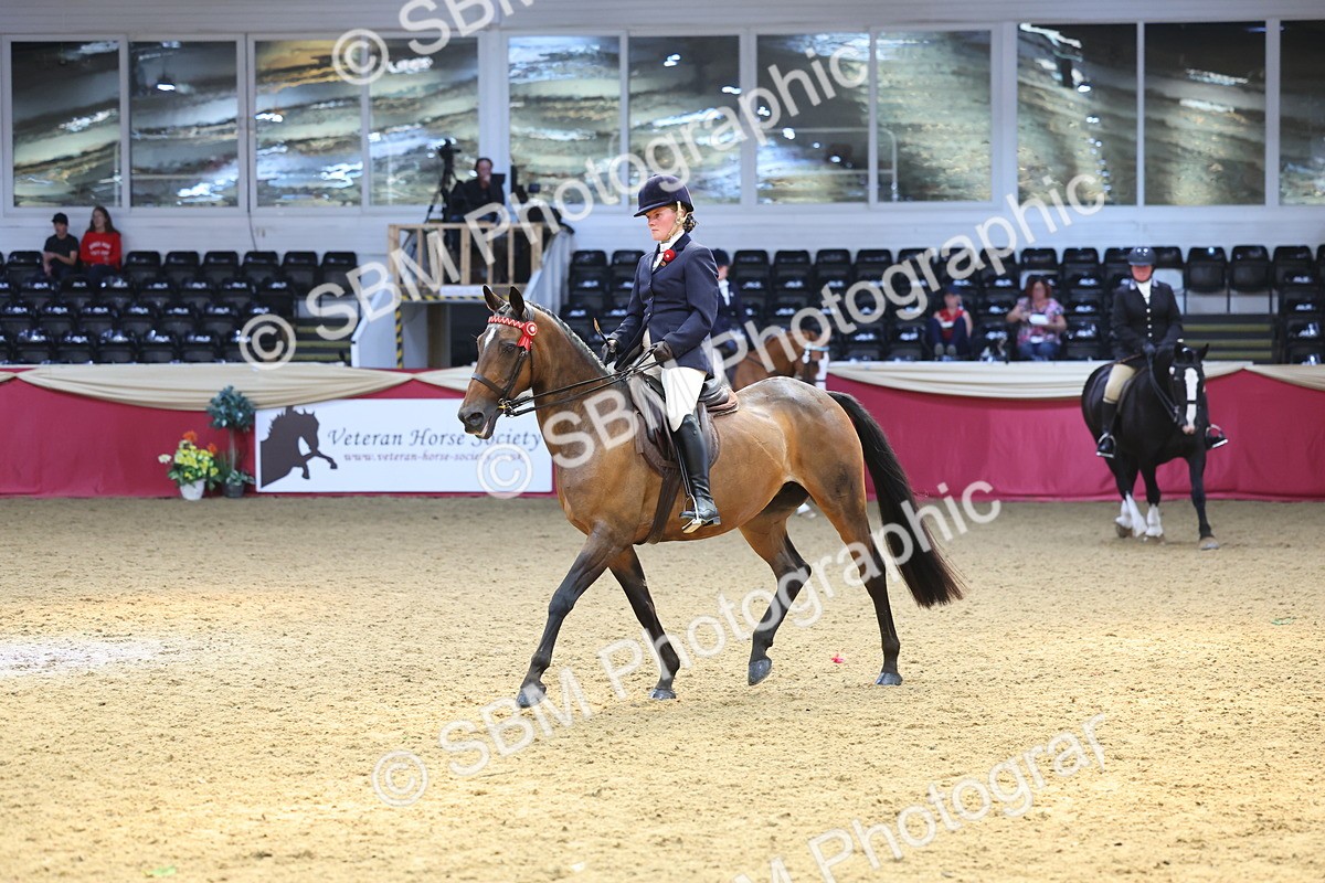 SBM_24079 - Class 905 - Supreme Final - Ridden Veteran