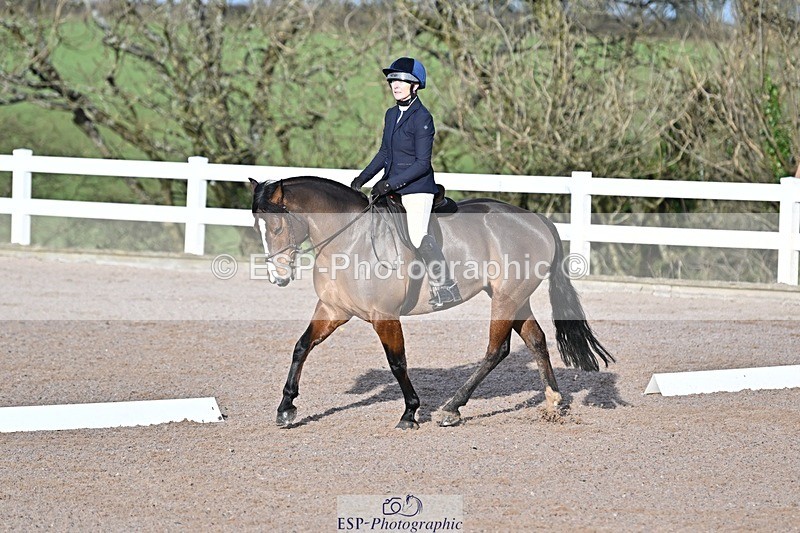 250125-100728-00116 - Dressage - CT Class 4 BE95 (80cm)