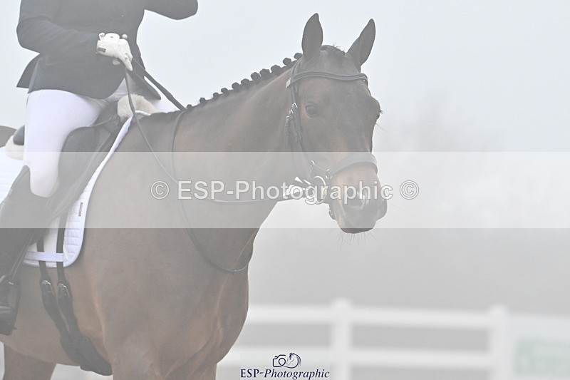 240217A-140439-03343 - 223-Victoria.Hamlyn-White-Kenzo.IV