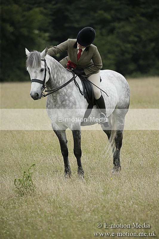 B230619-0910 - Bourne Valley Riding Club Summer Show 23/06/19