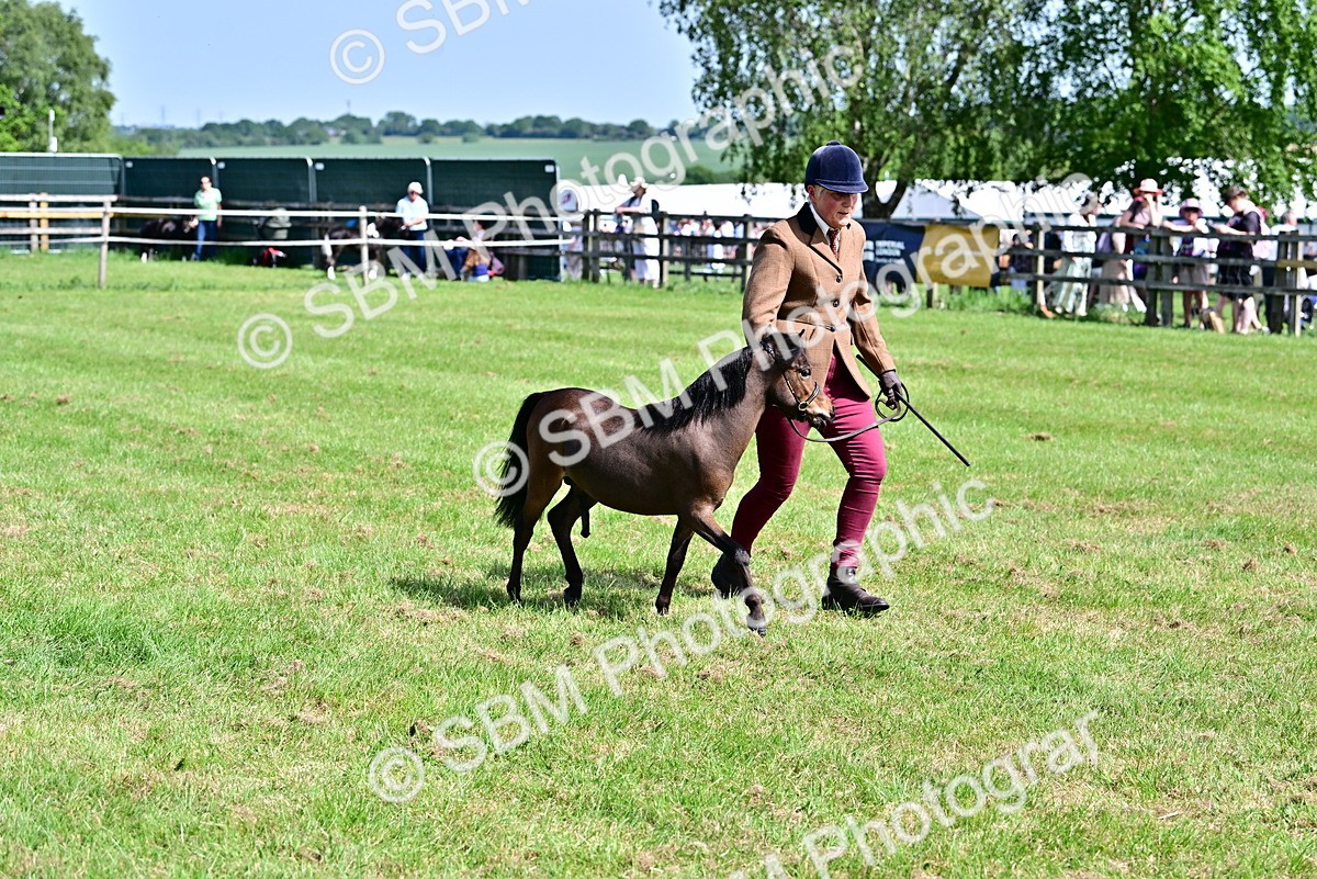 SBM_03601