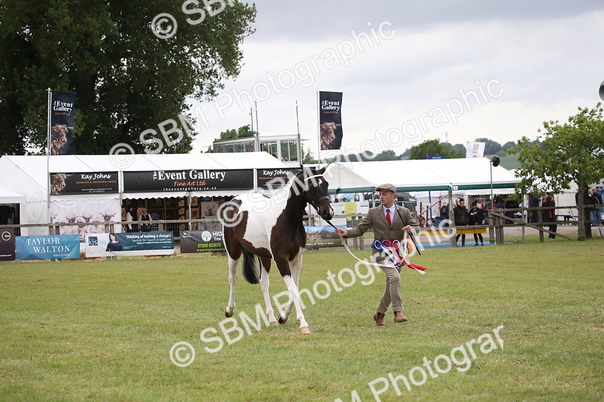 SBM_09915 - Ch 50 - Price Family Supreme In Hand