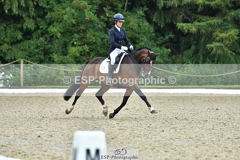 230722-153500-03698 - Cls 5, Elementary Silver 15.10 to End