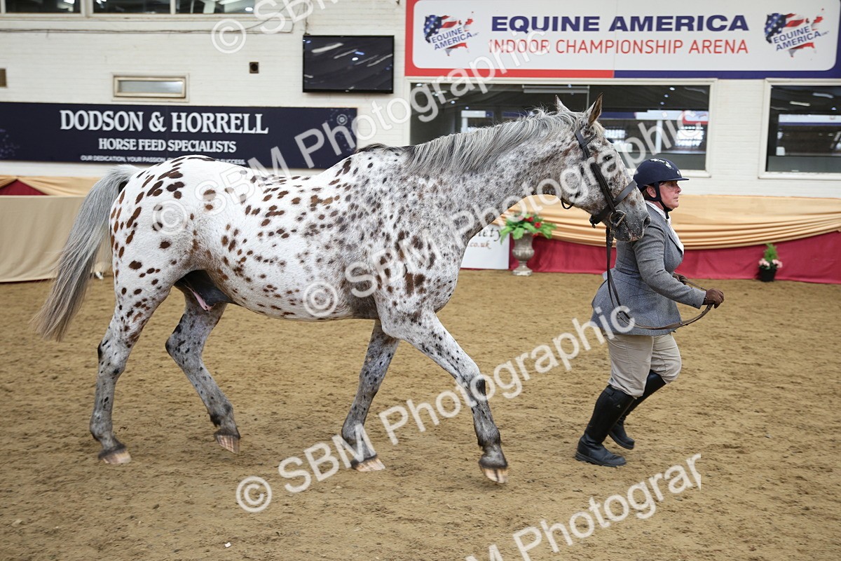 SBM_23414 - Class 904 - Supreme Final Ridden Diamond
