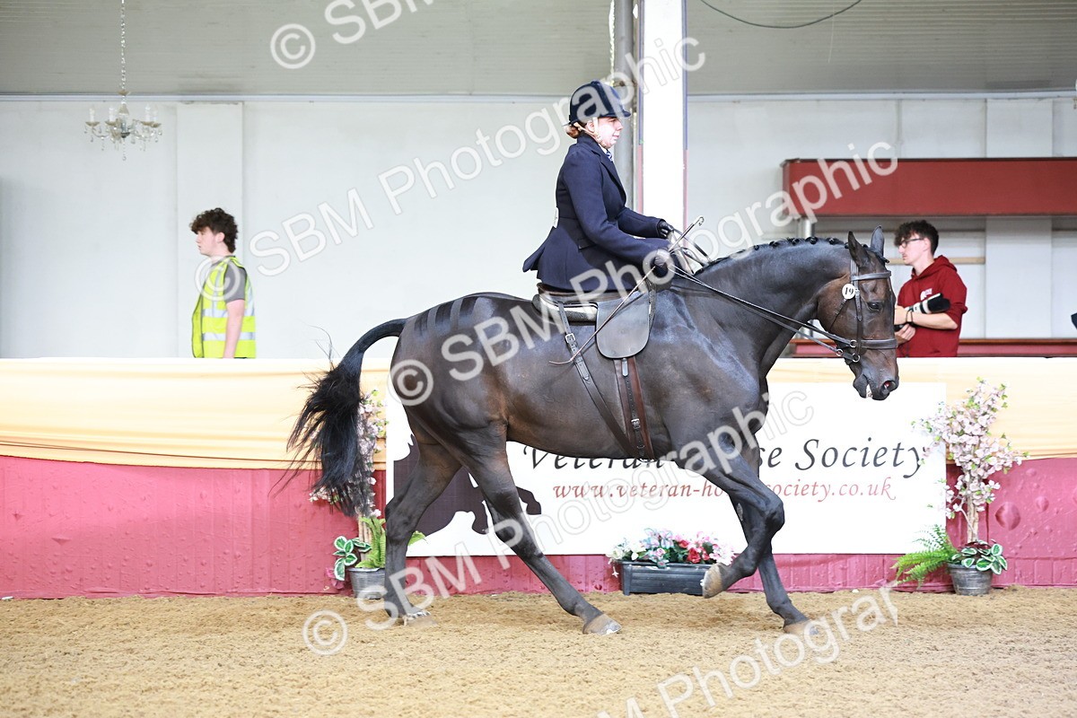 SBM_11815 - Class 102 - Equitation (Best Rider) Adult