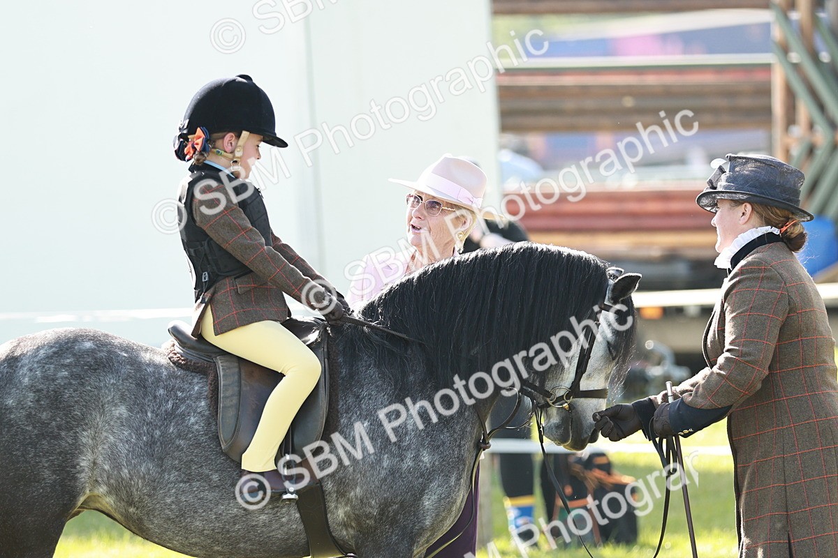 SBM_11216 - Class 106-107 - BSPS LIHS Working Sports Pony