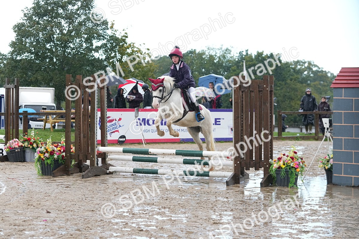 SBM_36314 - J5 - Junior Pony 50cm Championship