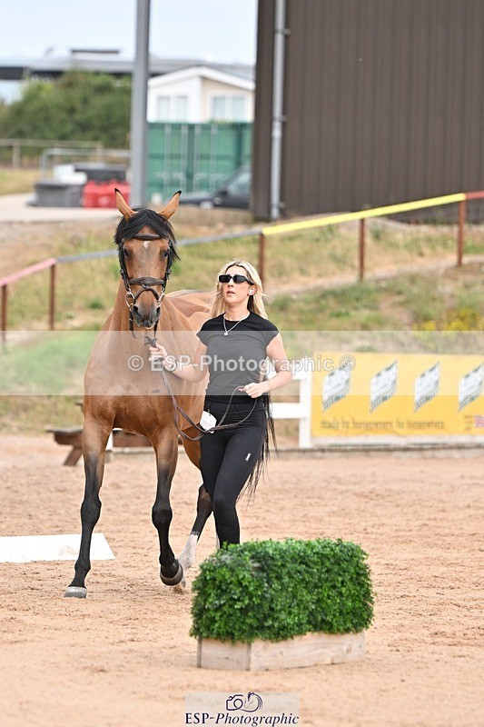 250716-151550-01826 - Trot Up 2.30 to 3.30