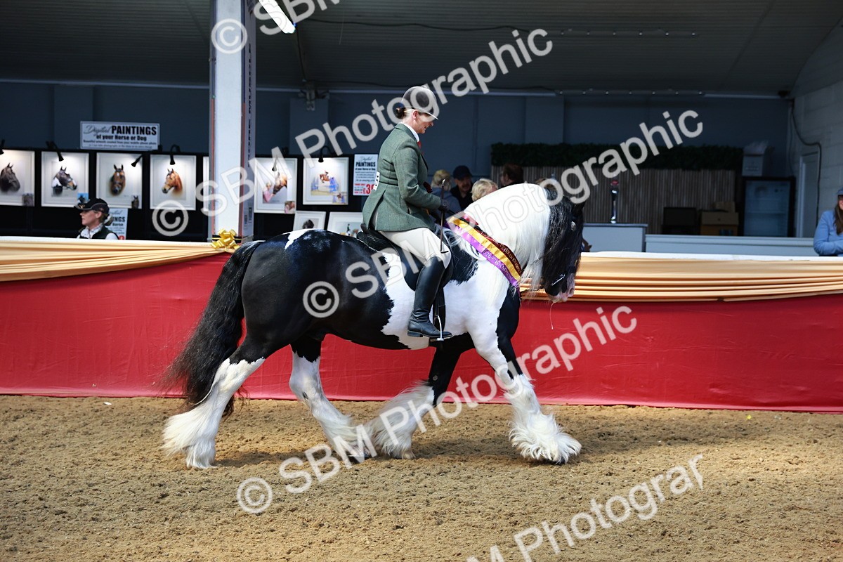 SBM_12808 - HOYS Veteran Qualifier - Ridden Champ