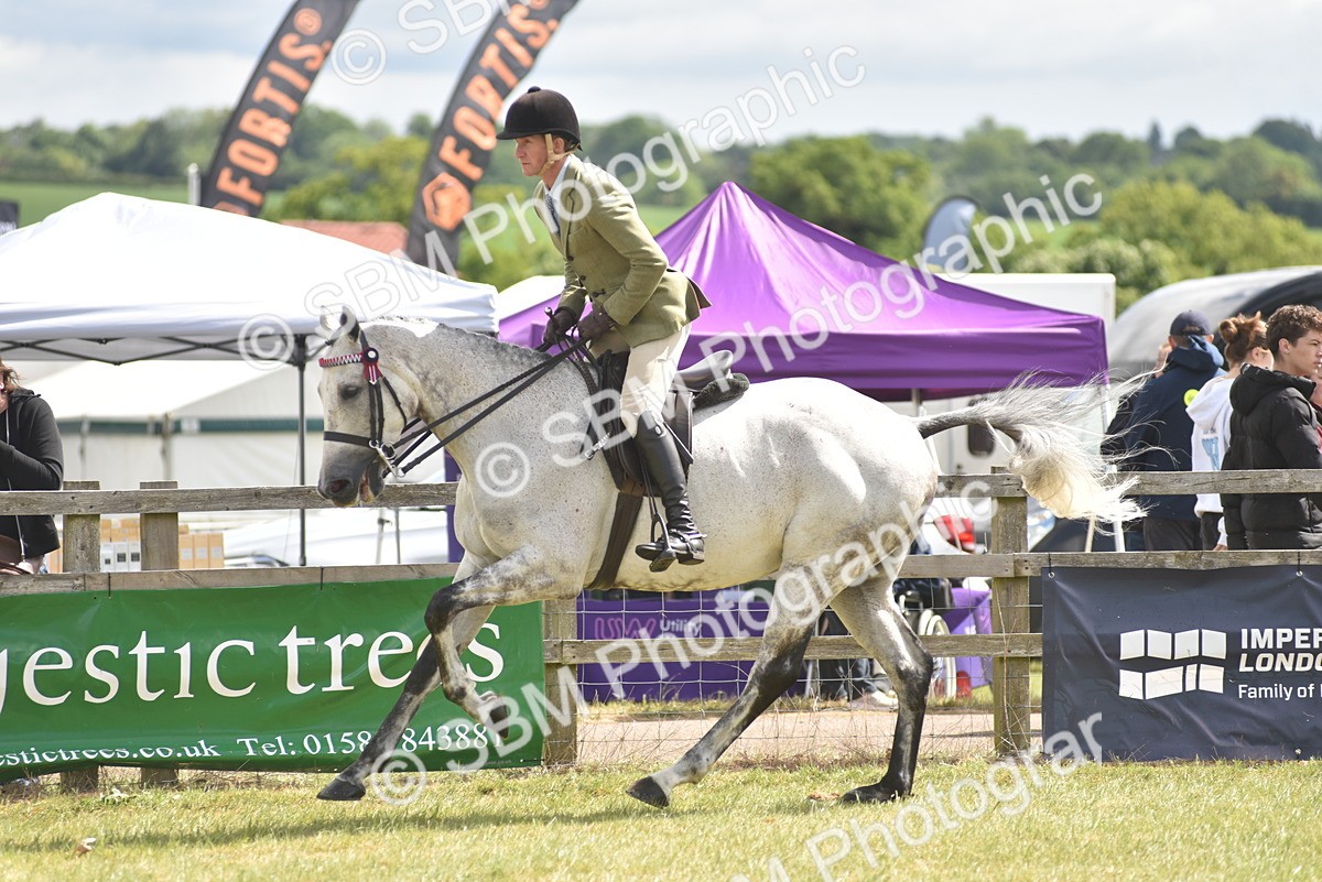 SBM_15082 - Class 113-114 - Retraining of Racehorses Ridden