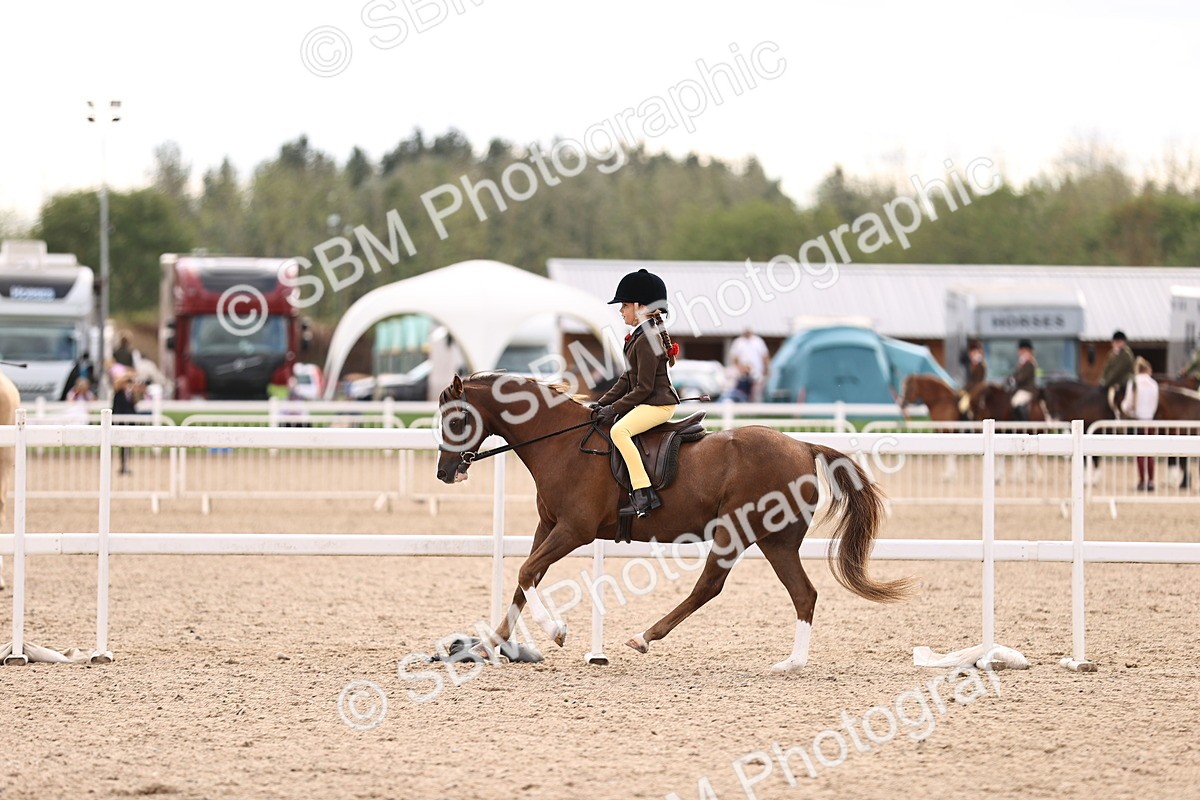 SBM_18064 - Class 422 - Equitation (Best Rider) Jnr