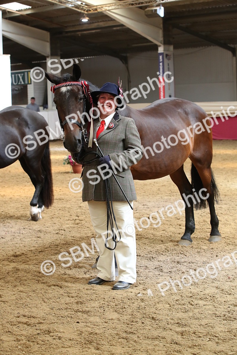 SBM_05416 - Class 8R - Regional IH Veteran