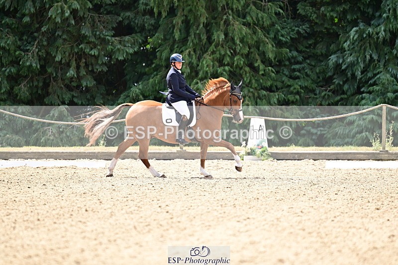 260802A-105830-05635 - Novice Silver break - break
