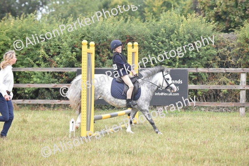 20250831-1850 - Class 9 - Absolute Novice 45cm