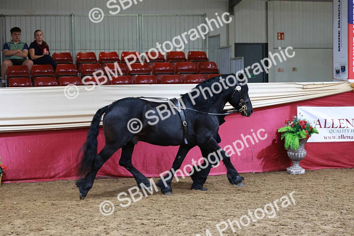 SBM_17413 - Class 951 - M&M IH Supreme Final