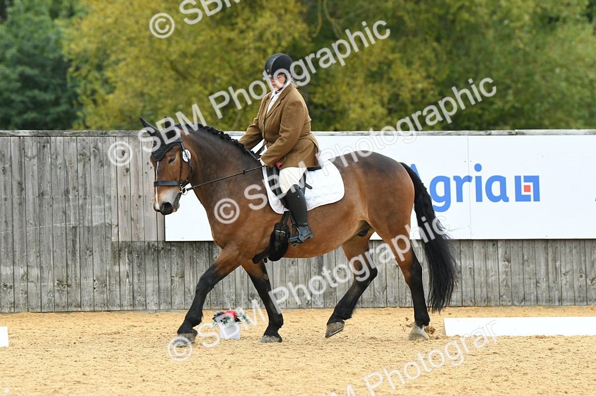 SBM_10025 - D15 Small Tour Championship Novice 24