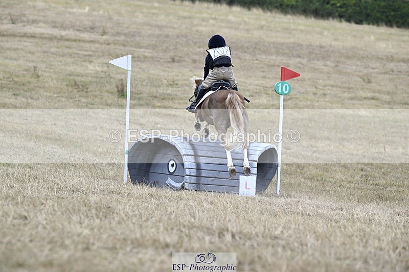 250824A-123126-36389 - 2028-Harry.Honeyball-Sardis.Cassius