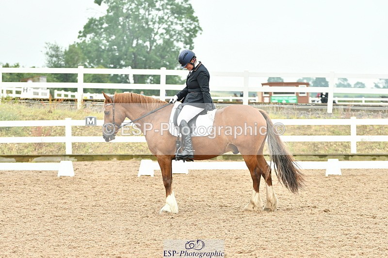 230708A-135458-02884 - Elementary 43