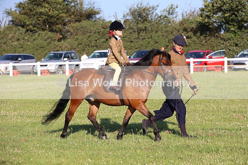 JPP_0736 - Class 16: Cornish Combination Leading Rein
