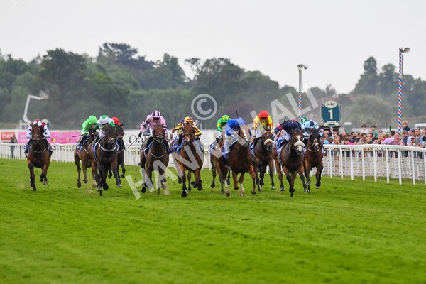 170623-Race 2-Wild Lion-0335 - Race 2 2.35pm Sky Bet Handicap