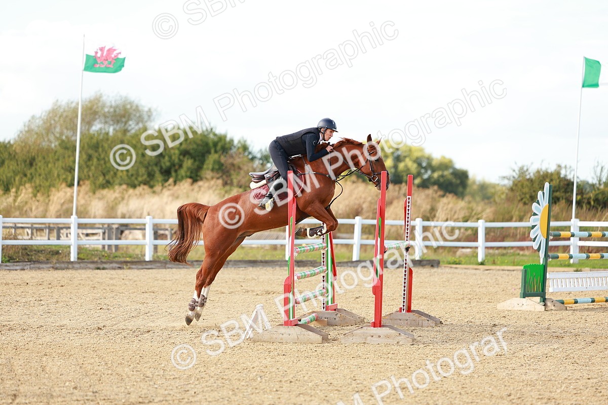 SBM_002019 - Class 5 - Senior Foxhunter - 1.20m