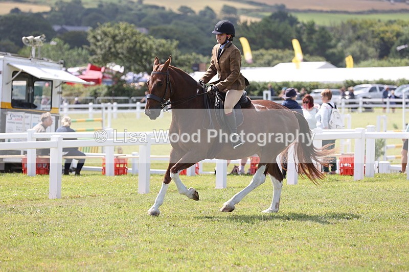 JPP_1382 - Class 17: Cornish Combination Open