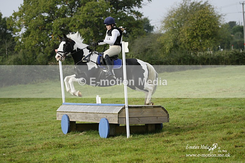  WWHT 171021 0736 - Open Novice (0.80m)  17/10/21